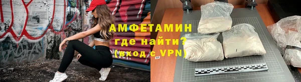 прущие грибы Коряжма