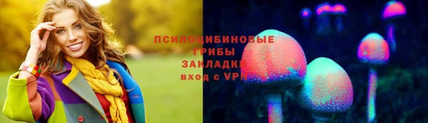 гидропоника Краснослободск
