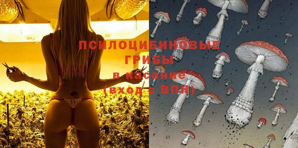 гидропоника Краснослободск