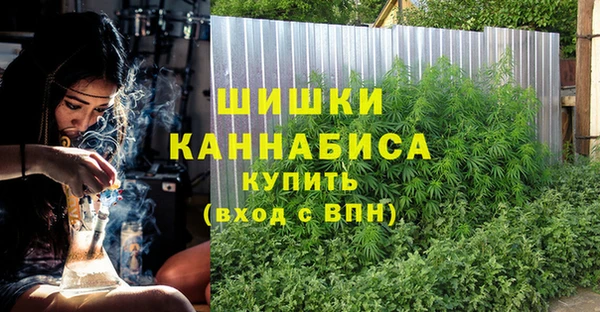 прущие грибы Коряжма