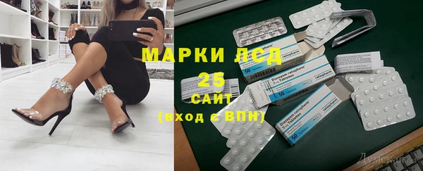 прущие грибы Коряжма
