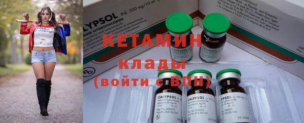 прущие грибы Коряжма