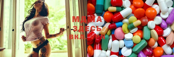 прущие грибы Коряжма
